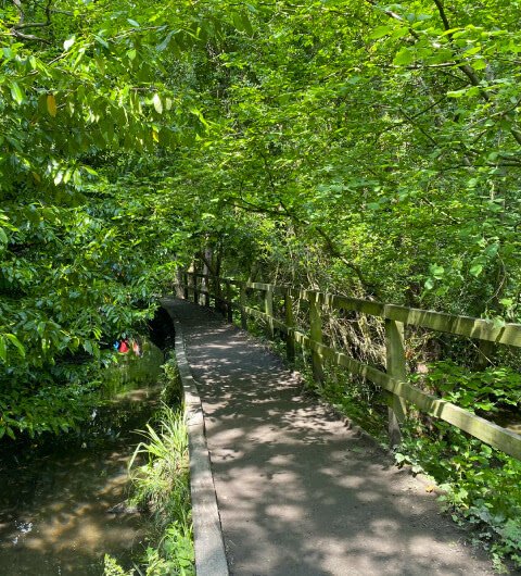 Meanwood Walk