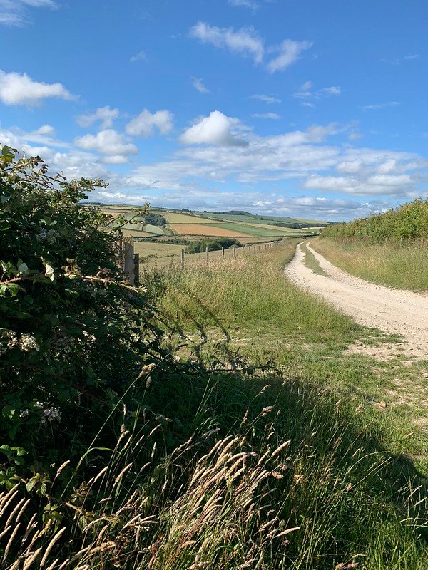 Above Wepham Village